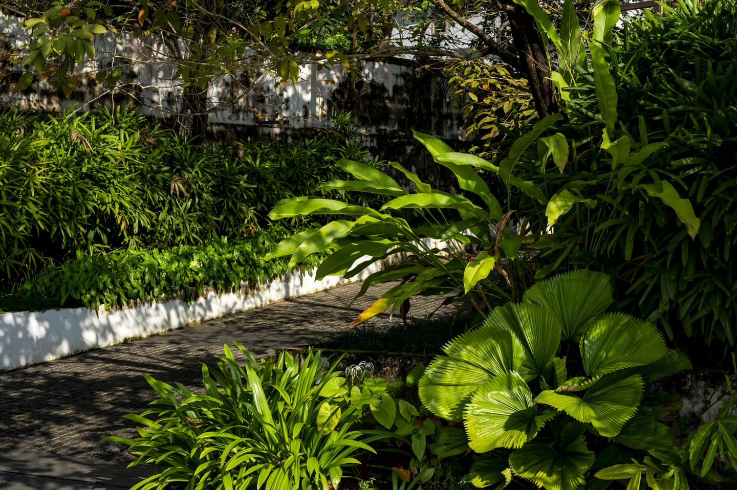 Lucid Home Garden - 5